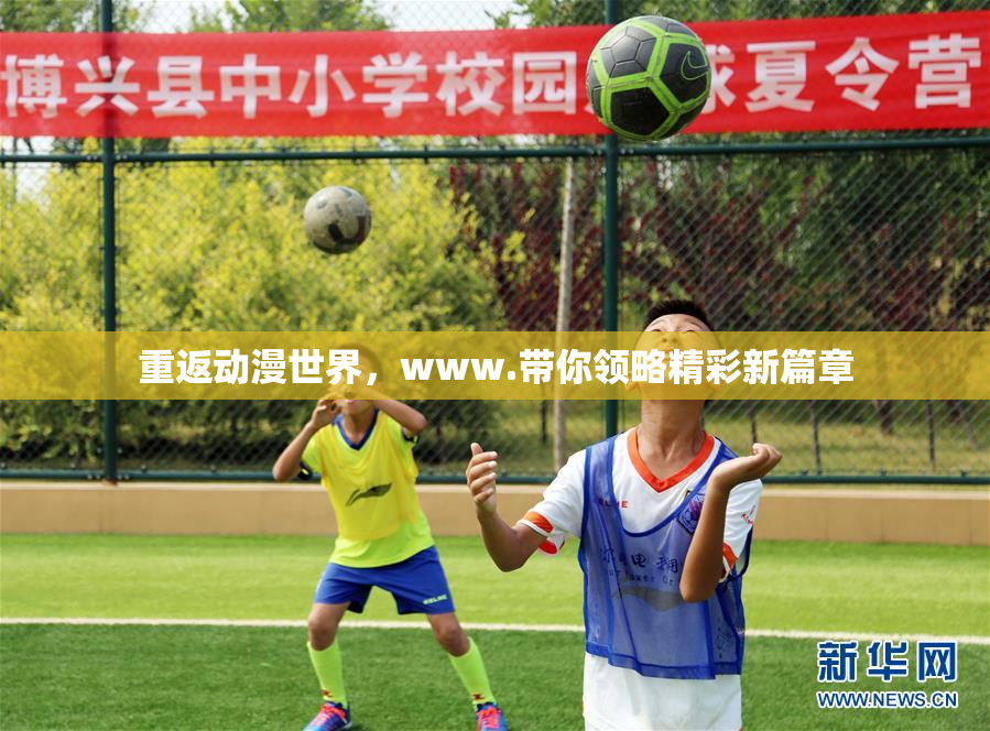重返动漫世界，www.带你领略精彩新篇章