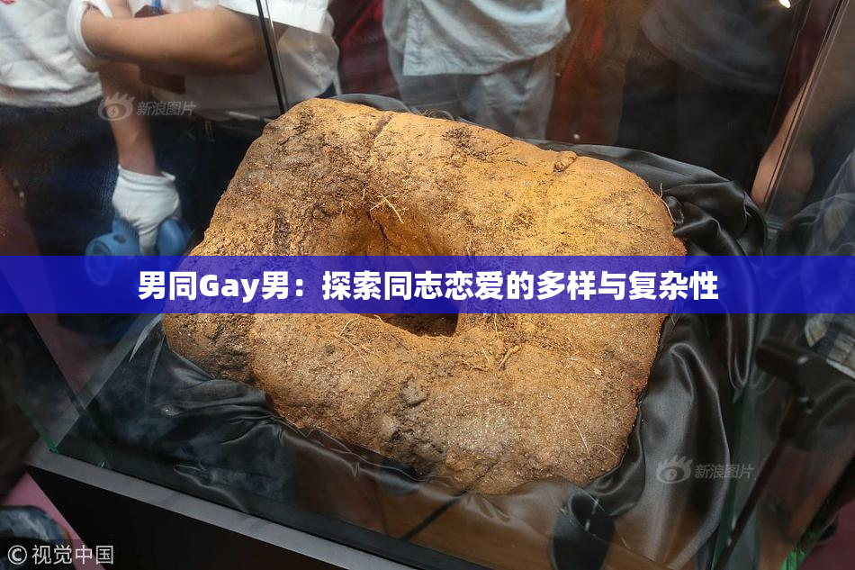 男同Gay男：探索同志恋爱的多样与复杂性