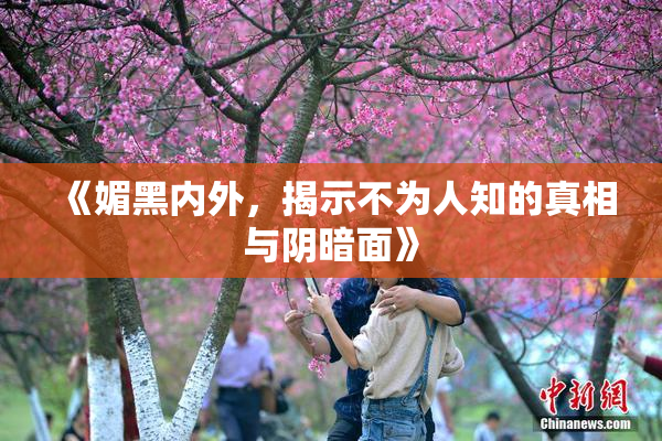 《媚黑内外，揭示不为人知的真相与阴暗面》