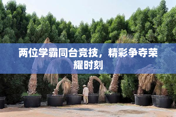 两位学霸同台竞技，精彩争夺荣耀时刻