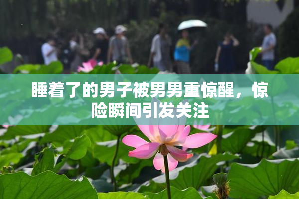 睡着了的男子被男男重惊醒，惊险瞬间引发关注
