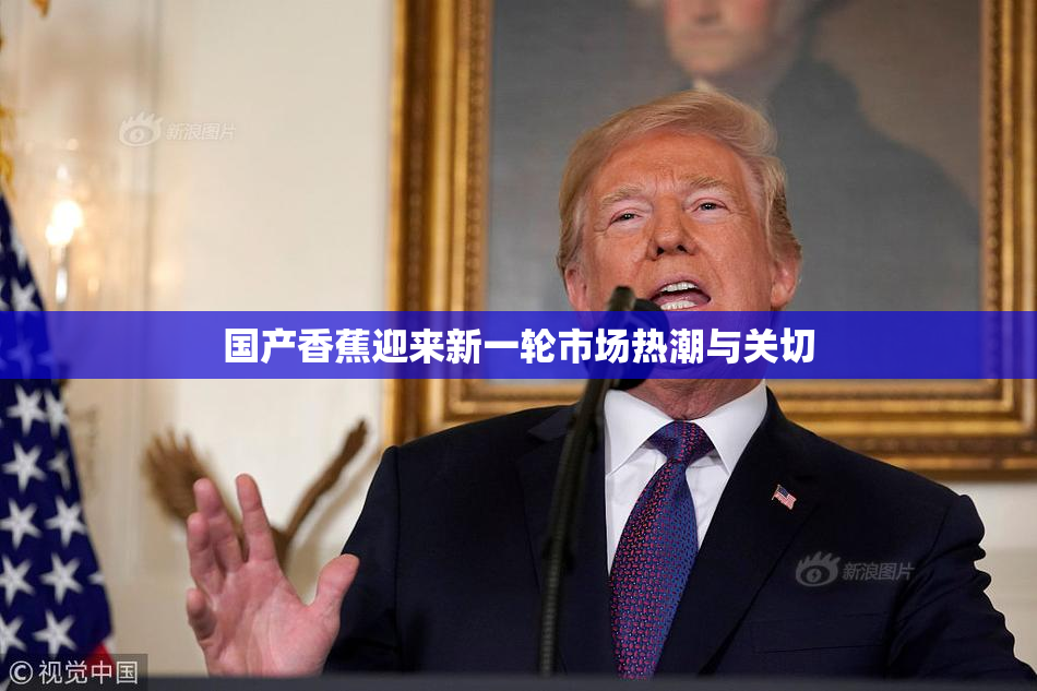 国产香蕉迎来新一轮市场热潮与关切