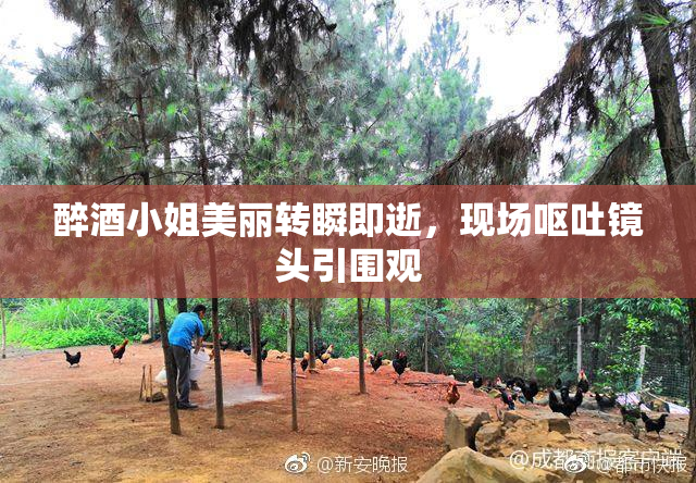 醉酒小姐美丽转瞬即逝，现场呕吐镜头引围观