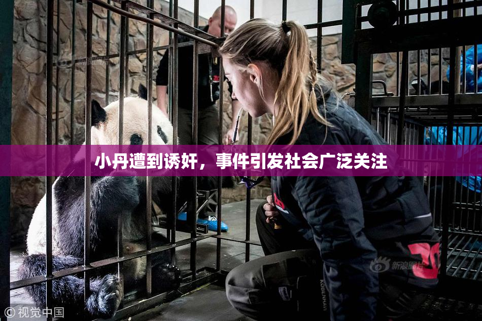 小丹遭到诱奸，事件引发社会广泛关注