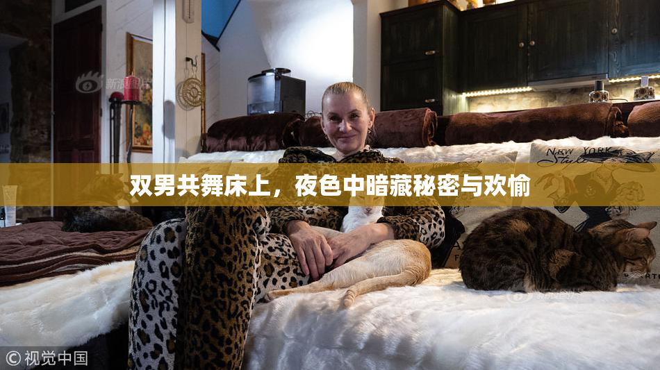 双男共舞床上，夜色中暗藏秘密与欢愉