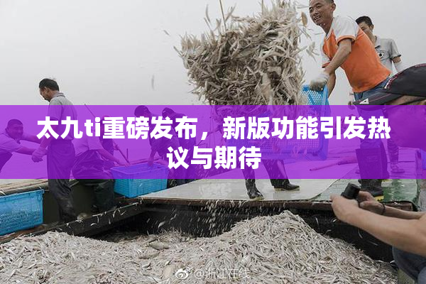 太九ti重磅发布，新版功能引发热议与期待