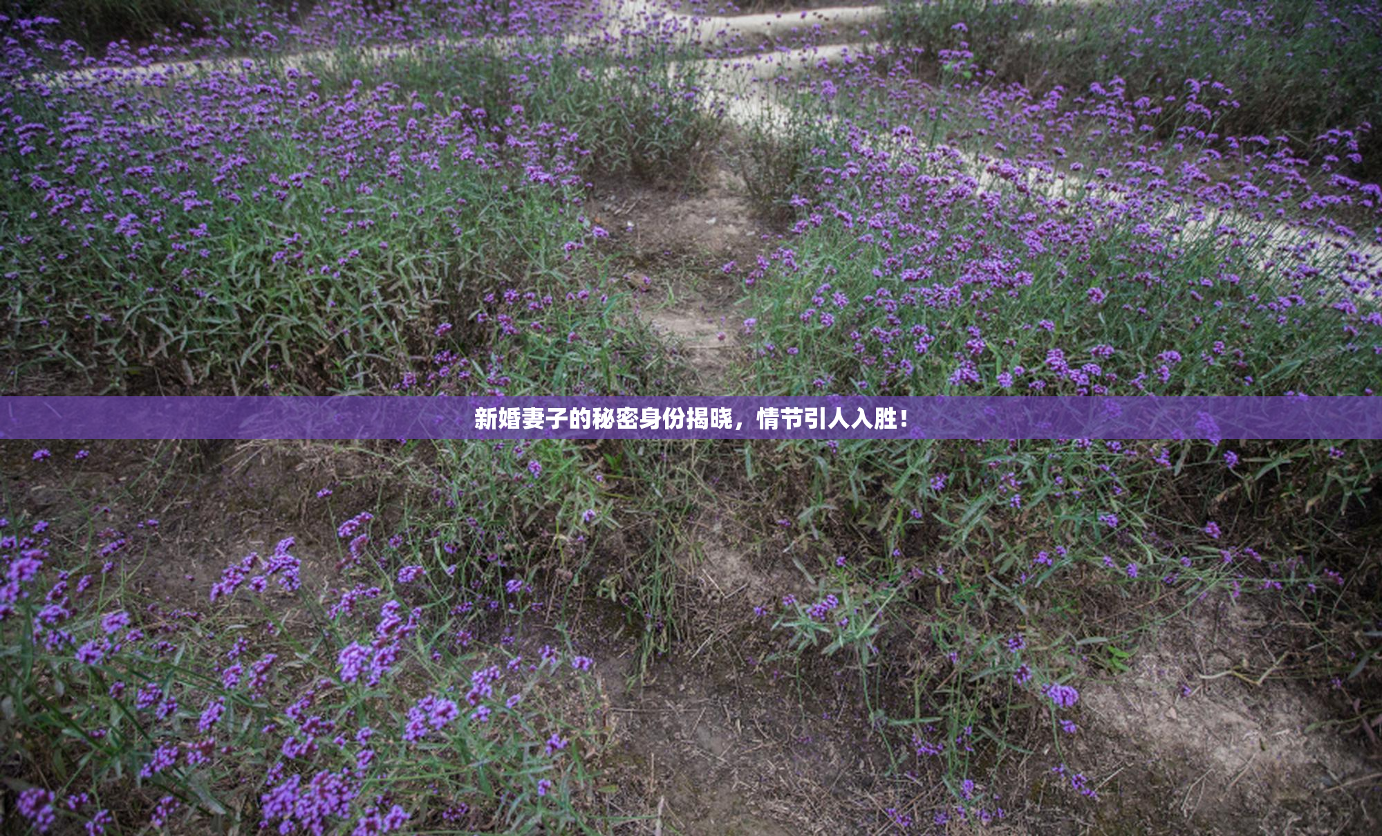 新婚妻子的秘密身份揭晓，情节引人入胜！