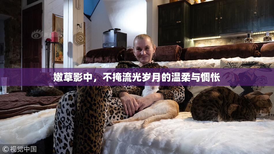 嫩草影中，不掩流光岁月的温柔与惆怅