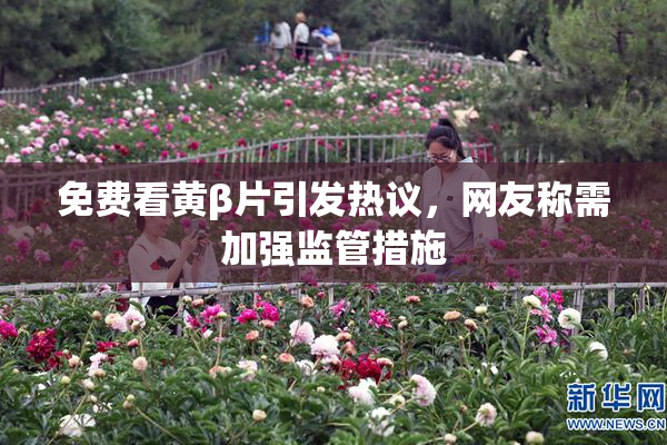 免费看黄β片引发热议，网友称需加强监管措施