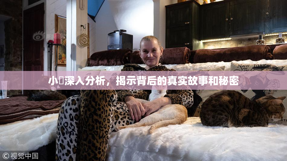 小泬深入分析，揭示背后的真实故事和秘密