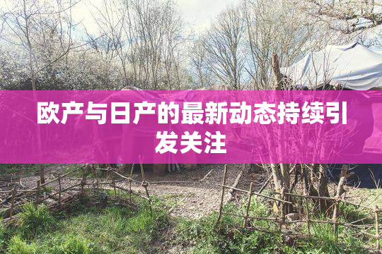 欧产与日产的最新动态持续引发关注