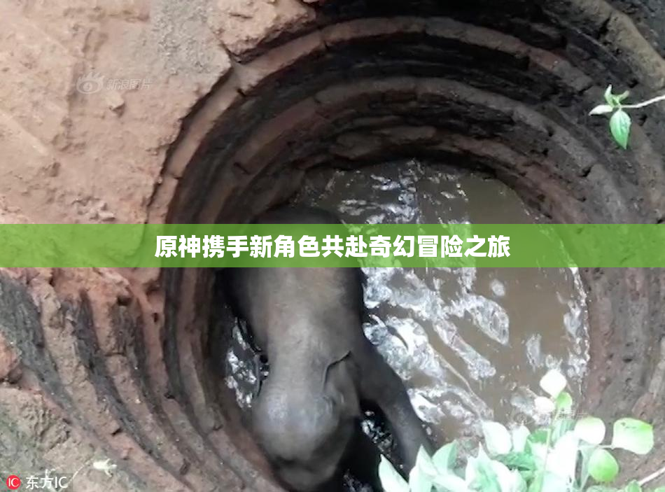 原神携手新角色共赴奇幻冒险之旅