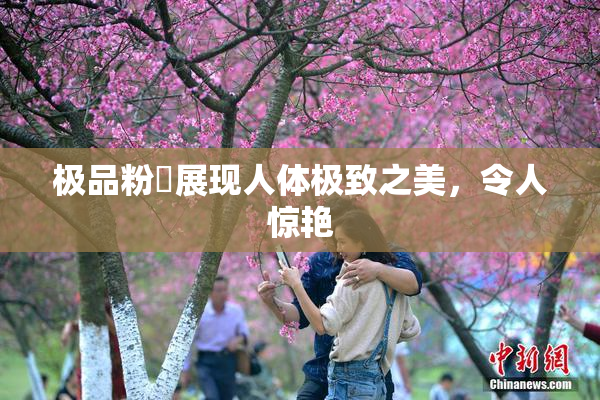 极品粉鮑展现人体极致之美，令人惊艳