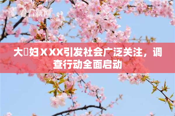 大婬妇ⅩXX引发社会广泛关注，调查行动全面启动