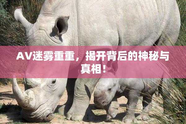 AV迷雾重重，揭开背后的神秘与真相！