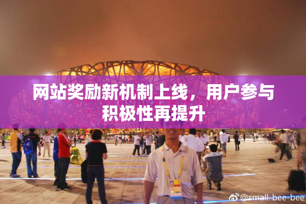 网站奖励新机制上线，用户参与积极性再提升