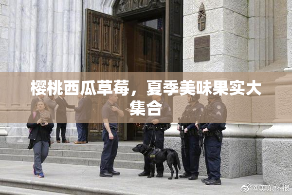 樱桃西瓜草莓，夏季美味果实大集合