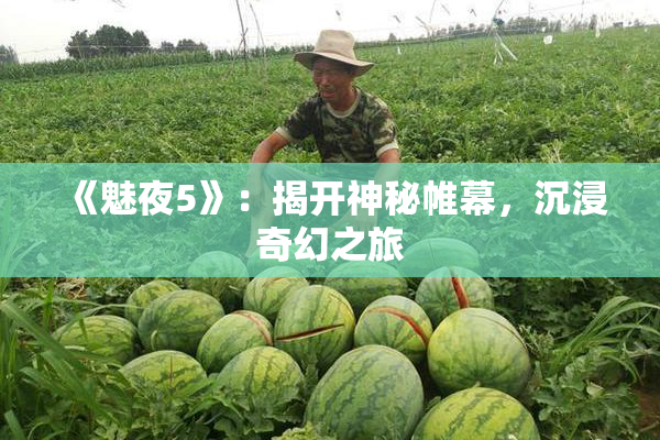 《魅夜5》：揭开神秘帷幕，沉浸奇幻之旅