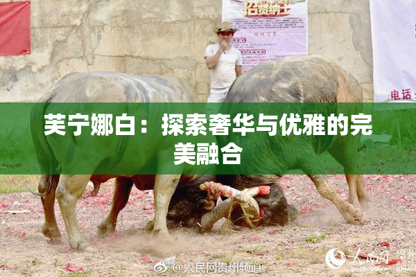 芙宁娜白：探索奢华与优雅的完美融合