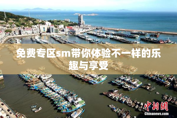 免费专区sm带你体验不一样的乐趣与享受