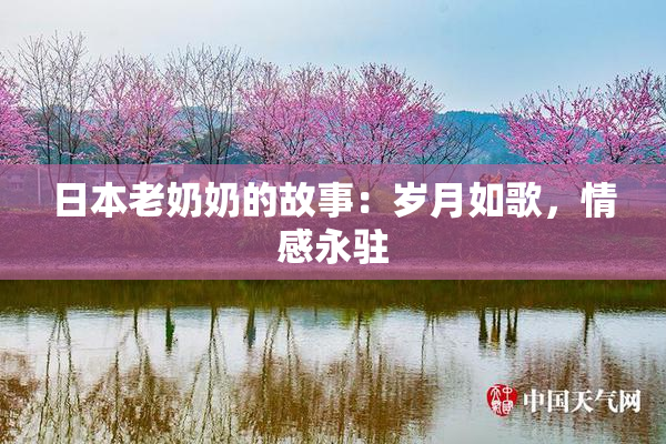 日本老奶奶的故事：岁月如歌，情感永驻