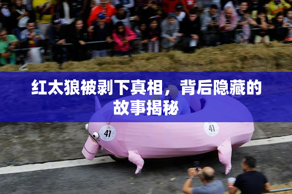 红太狼被剥下真相，背后隐藏的故事揭秘