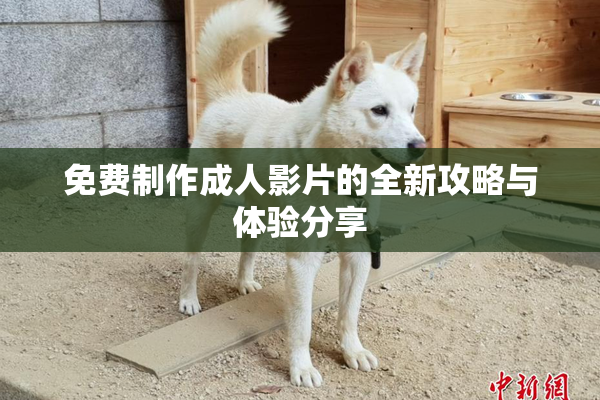 免费制作成人影片的全新攻略与体验分享