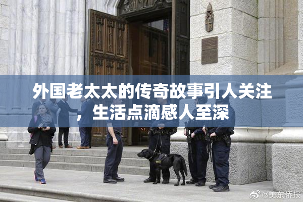 外国老太太的传奇故事引人关注，生活点滴感人至深