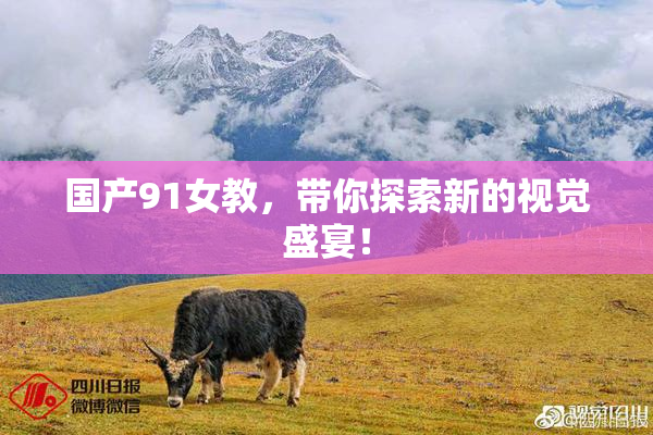 国产91女教，带你探索新的视觉盛宴！