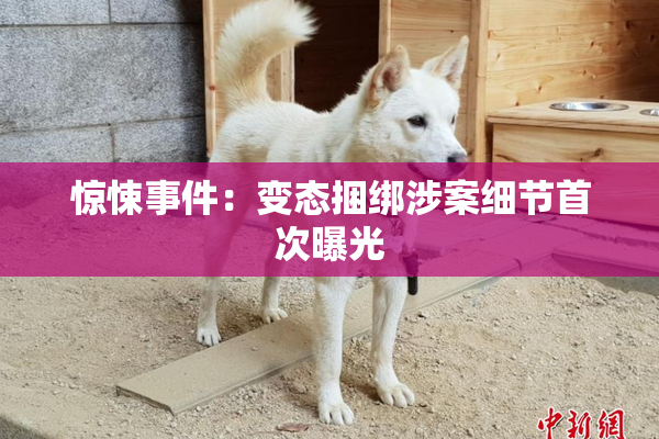 惊悚事件：变态捆绑涉案细节首次曝光