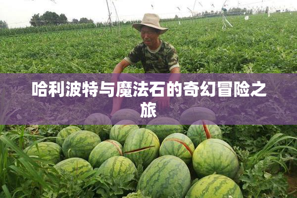 哈利波特与魔法石的奇幻冒险之旅