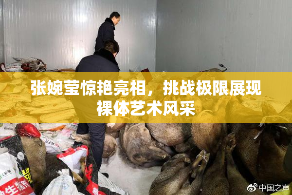 张婉莹惊艳亮相，挑战极限展现裸体艺术风采