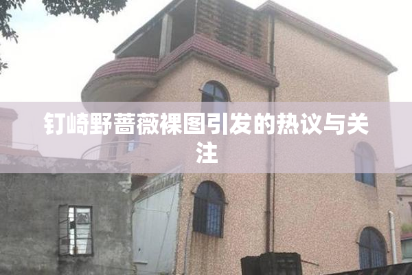 钉崎野蔷薇裸图引发的热议与关注