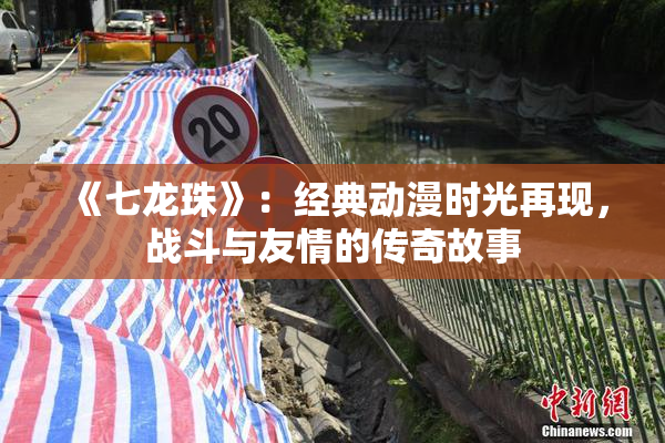 《七龙珠》：经典动漫时光再现，战斗与友情的传奇故事