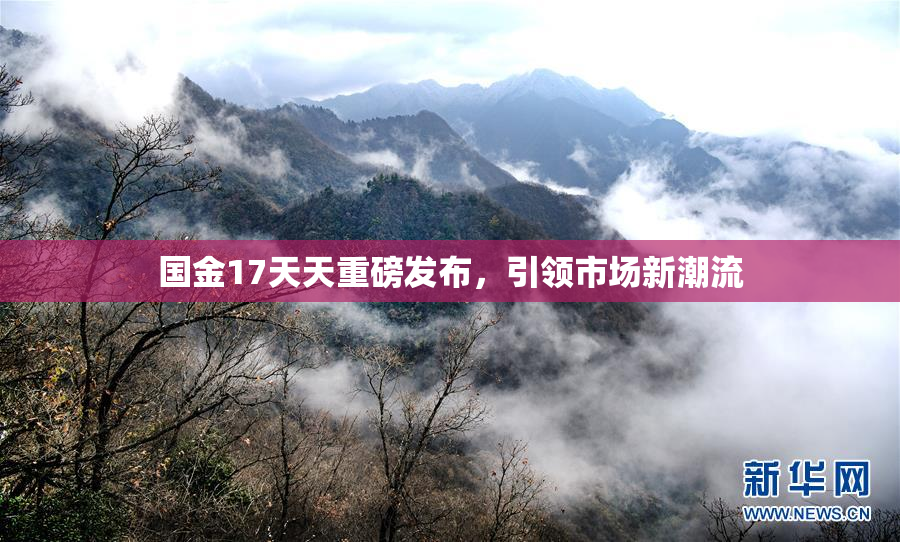 国金17天天重磅发布，引领市场新潮流