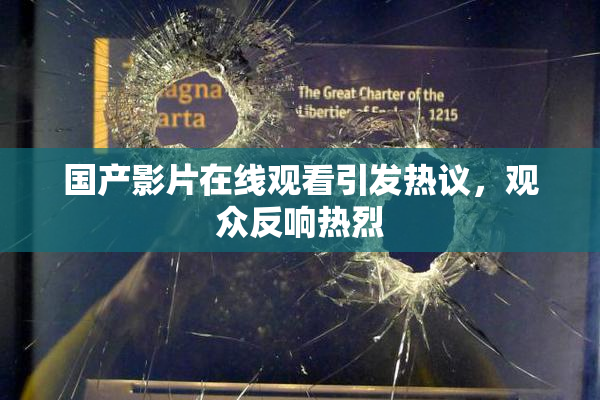 国产影片在线观看引发热议，观众反响热烈