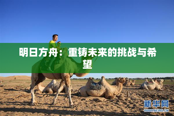 明日方舟：重铸未来的挑战与希望