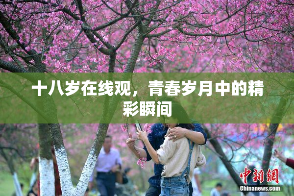 十八岁在线观，青春岁月中的精彩瞬间