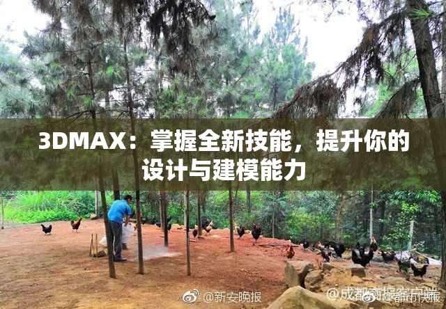 3DMAX：掌握全新技能，提升你的设计与建模能力