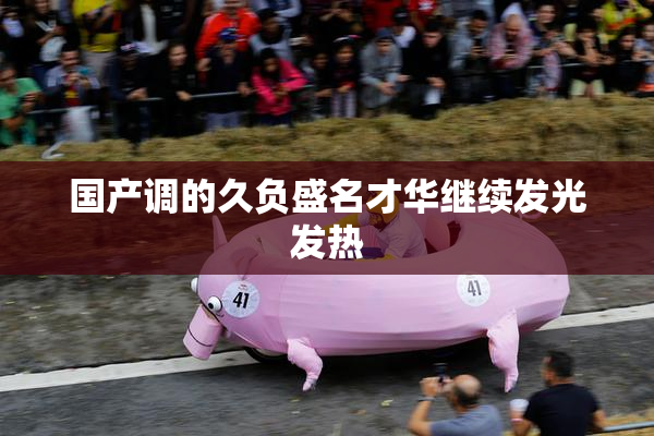 国产调的久负盛名才华继续发光发热