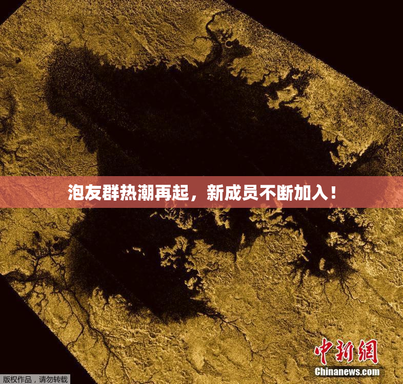 泡友群热潮再起，新成员不断加入！