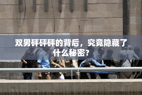 双男砰砰砰的背后，究竟隐藏了什么秘密？