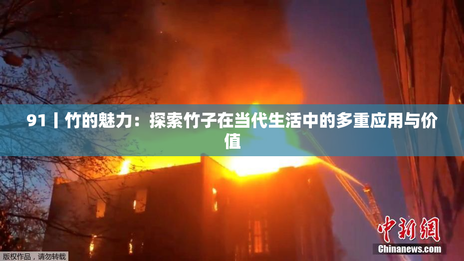 91丨竹的魅力：探索竹子在当代生活中的多重应用与价值