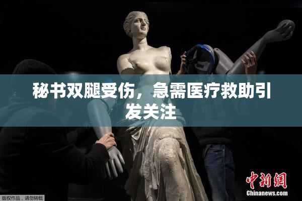 秘书双腿受伤，急需医疗救助引发关注