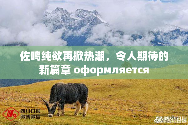 佐鸣纯欲再掀热潮，令人期待的新篇章 оформляется