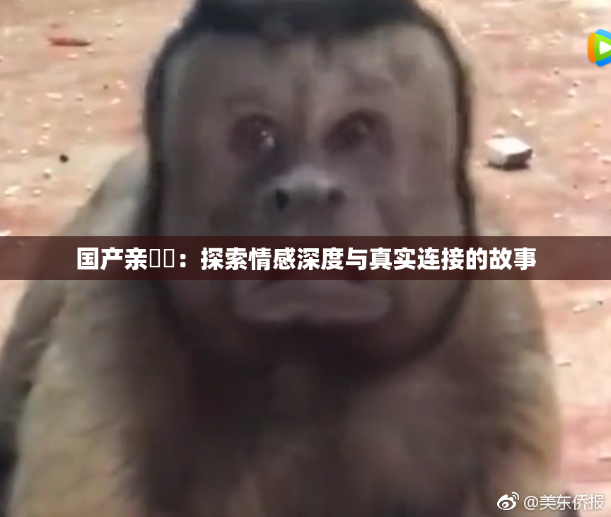国产亲妺妺：探索情感深度与真实连接的故事