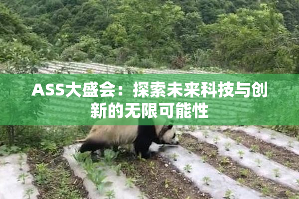 ASS大盛会：探索未来科技与创新的无限可能性