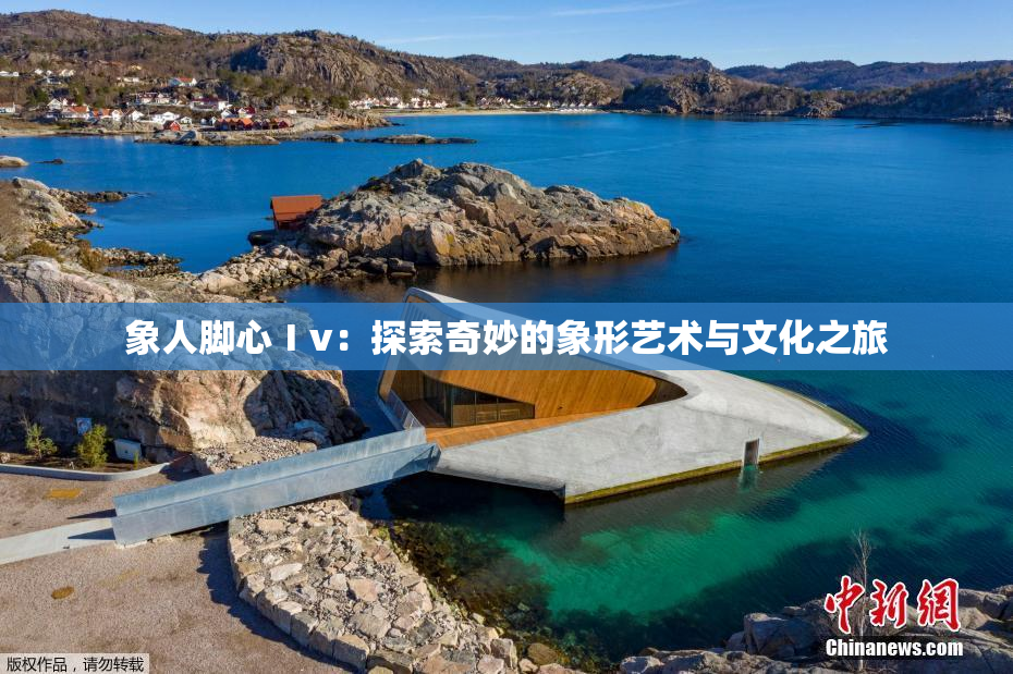 象人脚心Ⅰv：探索奇妙的象形艺术与文化之旅