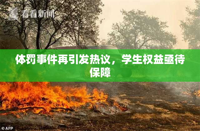 体罚事件再引发热议，学生权益亟待保障