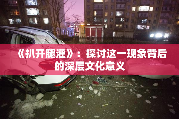 《扒开腿灌》：探讨这一现象背后的深层文化意义